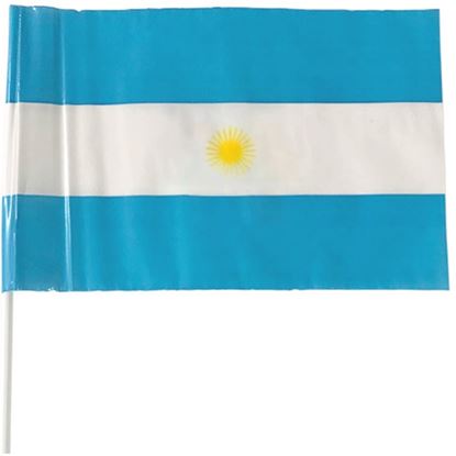 Foto de Bandera plástica Argentina 15x21 con palo