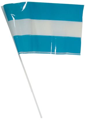Foto de Bandera plástica Argentina 40x60 con palo