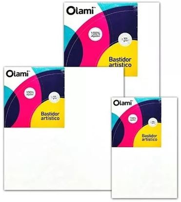 Foto de Bastidor Olami entelado