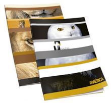 Foto de Cuaderno tapa blanda 16x21 48 hojas rayadas América/Mis Apuntes