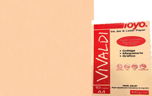 Foto de Papel Vivaldi salmón 120g (1 hoja)