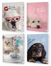 Foto de Cuaderno 16x21 48 hojas rayadas Mooving Rachael