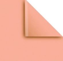 Foto de Papel afiche beige 70 x 100